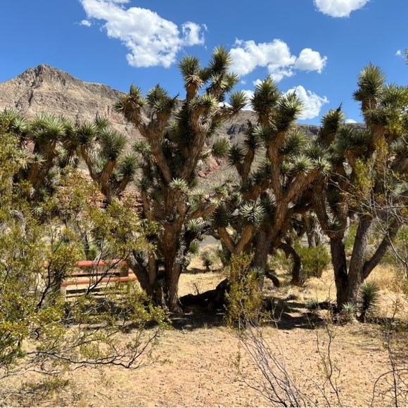 DON’T’T WAIT! DO IT NOW! - Picture 10 of 15